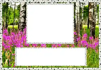 Fotoeffekt aus der Kategorie Sommer № 131011