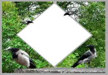 Fotoeffekt aus der Kategorie Sommer № 131476 Fotoeffekt aus der Kategorie Sommer № 131476