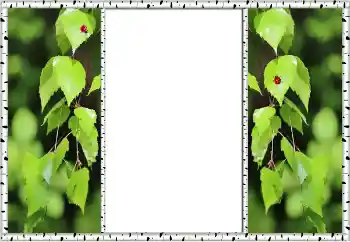 Fotoeffekt aus der Kategorie Sommer № 132875 Fotoeffekt aus der Kategorie Sommer № 132875