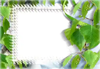 Fotoeffekt aus der Kategorie Sommer № 132911 Fotoeffekt aus der Kategorie Sommer № 132911