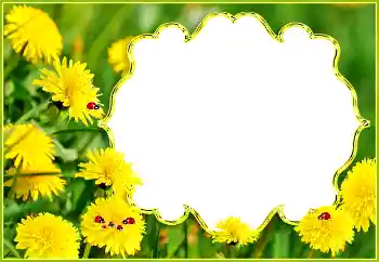 Fotoeffekt aus der Kategorie Sommer № 132994 Fotoeffekt aus der Kategorie Sommer № 132994