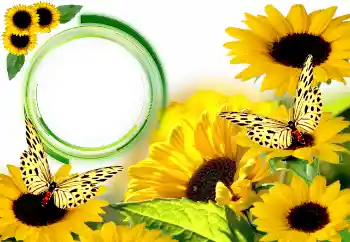 Fotoeffekt aus der Kategorie Sommer № 134446 Fotoeffekt aus der Kategorie Sommer № 134446