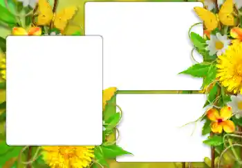 Fotoeffekt aus der Kategorie Sommer № 138523 Fotoeffekt aus der Kategorie Sommer № 138523