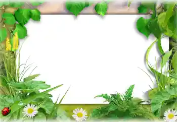 Fotoeffekt aus der Kategorie Sommer № 138647 Fotoeffekt aus der Kategorie Sommer № 138647