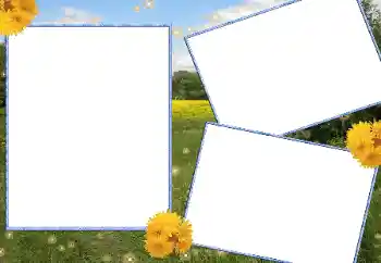 Fotoeffekt aus der Kategorie Sommer № 13915 Fotoeffekt aus der Kategorie Sommer № 13915