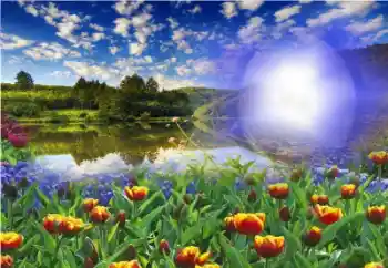 Fotoeffekt aus der Kategorie Sommer № 13960