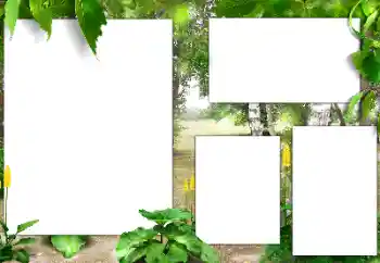 Fotoeffekt aus der Kategorie Sommer № 141163