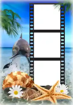 Fotoeffekt aus der Kategorie Sommer № 142225 Fotoeffekt aus der Kategorie Sommer № 142225