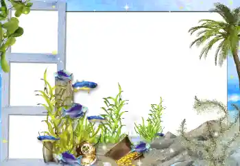 Fotoeffekt aus der Kategorie Sommer № 142298 Fotoeffekt aus der Kategorie Sommer № 142298