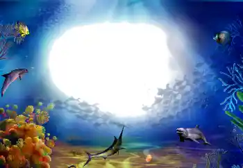 Fotoeffekt aus der Kategorie Sommer № 142470 Fotoeffekt aus der Kategorie Sommer № 142470