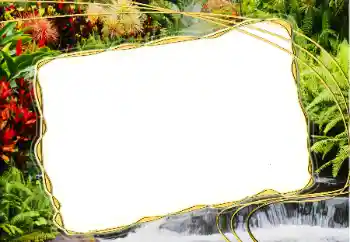 Fotoeffekt aus der Kategorie Sommer № 14917