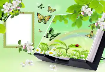 Fotoeffekt aus der Kategorie Sommer № 150647 Fotoeffekt aus der Kategorie Sommer № 150647