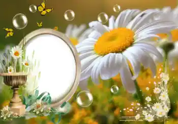 Fotoeffekt aus der Kategorie Sommer № 153157 Fotoeffekt aus der Kategorie Sommer № 153157