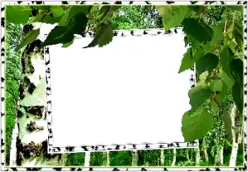 Fotoeffekt aus der Kategorie Sommer № 154334 Fotoeffekt aus der Kategorie Sommer № 154334