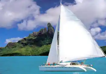 Fotoeffekt aus der Kategorie Sommer № 1553 Fotoeffekt aus der Kategorie Sommer № 1553