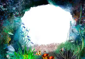 Fotoeffekt aus der Kategorie Sommer № 155944 Fotoeffekt aus der Kategorie Sommer № 155944