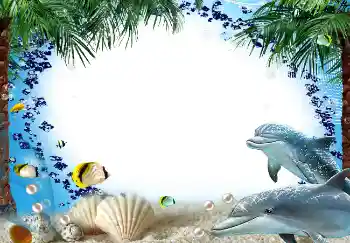 Fotoeffekt aus der Kategorie Sommer № 1580 Fotoeffekt aus der Kategorie Sommer № 1580