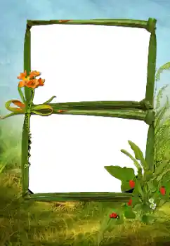 Fotoeffekt aus der Kategorie Sommer № 160630 Fotoeffekt aus der Kategorie Sommer № 160630