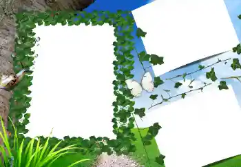 Fotoeffekt aus der Kategorie Sommer № 160662 Fotoeffekt aus der Kategorie Sommer № 160662