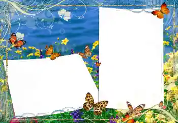 Fotoeffekt aus der Kategorie Sommer № 163330