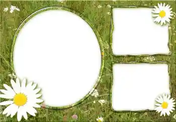 Fotoeffekt aus der Kategorie Sommer № 166475