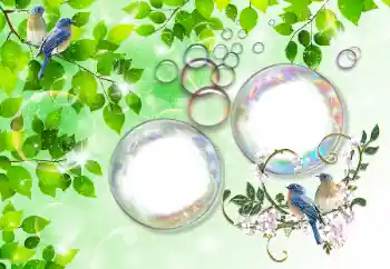 Fotoeffekt aus der Kategorie Sommer № 167832 Fotoeffekt aus der Kategorie Sommer № 167832