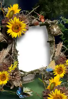 Fotoeffekt aus der Kategorie Sommer № 167902 Fotoeffekt aus der Kategorie Sommer № 167902