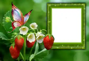 Fotoeffekt aus der Kategorie Sommer № 168002 Fotoeffekt aus der Kategorie Sommer № 168002