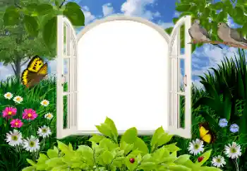 Fotoeffekt aus der Kategorie Sommer № 16945