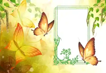 Fotoeffekt aus der Kategorie Sommer № 179561 Fotoeffekt aus der Kategorie Sommer № 179561