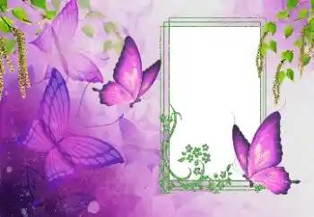 Fotoeffekt aus der Kategorie Sommer № 179562