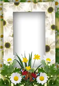 Fotoeffekt aus der Kategorie Sommer № 19247