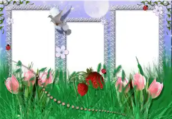 Fotoeffekt aus der Kategorie Sommer № 2396 Fotoeffekt aus der Kategorie Sommer № 2396