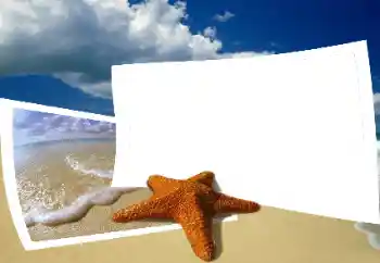 Fotoeffekt aus der Kategorie Sommer № 25435