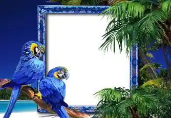 Fotoeffekt aus der Kategorie Sommer № 26552