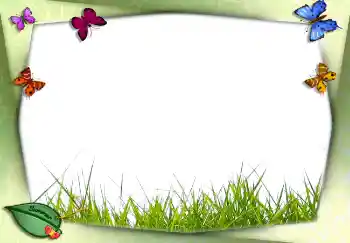 Fotoeffekt aus der Kategorie Sommer № 2756