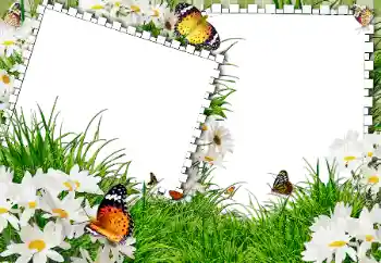 Fotoeffekt aus der Kategorie Sommer № 31861