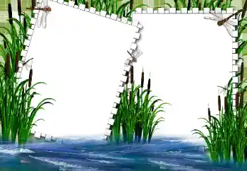 Fotoeffekt aus der Kategorie Sommer № 31862