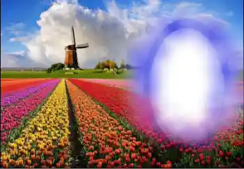 Fotoeffekt aus der Kategorie Sommer № 36251