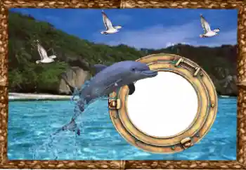 Fotoeffekt aus der Kategorie Sommer № 38477