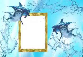 Fotoeffekt aus der Kategorie Sommer № 38603