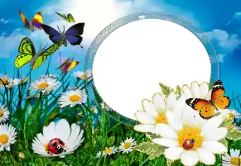 Fotoeffekt aus der Kategorie Sommer № 40377