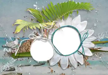 Fotoeffekt aus der Kategorie Sommer № 47208