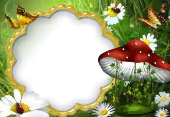 Fotoeffekt aus der Kategorie Sommer № 5072