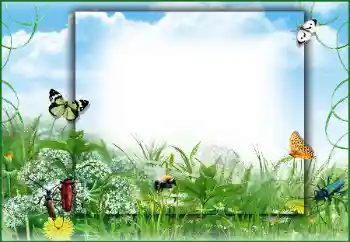 Fotoeffekt aus der Kategorie Sommer № 50891