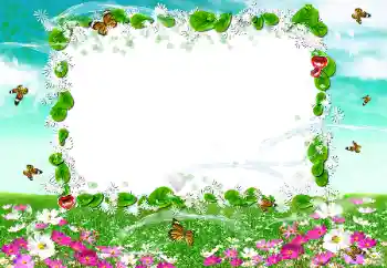 Fotoeffekt aus der Kategorie Sommer № 50894