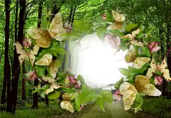 Fotoeffekt aus der Kategorie Sommer № 5287