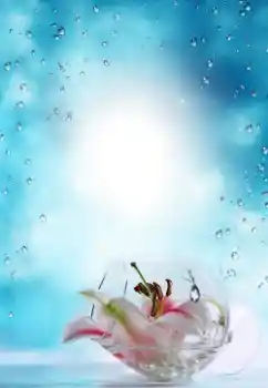 Fotoeffekt aus der Kategorie Sommer № 64487 Fotoeffekt aus der Kategorie Sommer № 64487