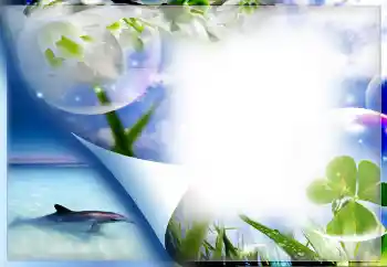 Fotoeffekt aus der Kategorie Sommer № 67330 Fotoeffekt aus der Kategorie Sommer № 67330