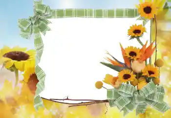 Fotoeffekt aus der Kategorie Sommer № 68445 Fotoeffekt aus der Kategorie Sommer № 68445